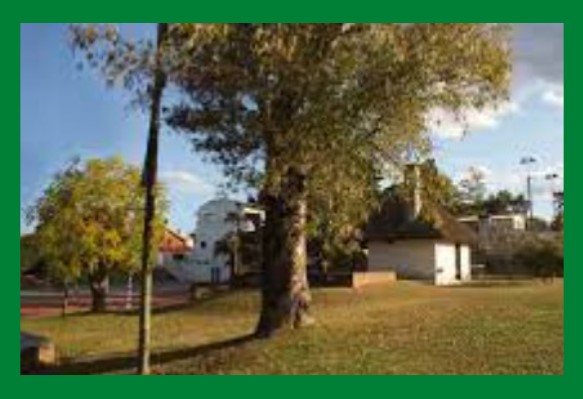 Camping la Floresta. Acampar en Camping La Floresta.