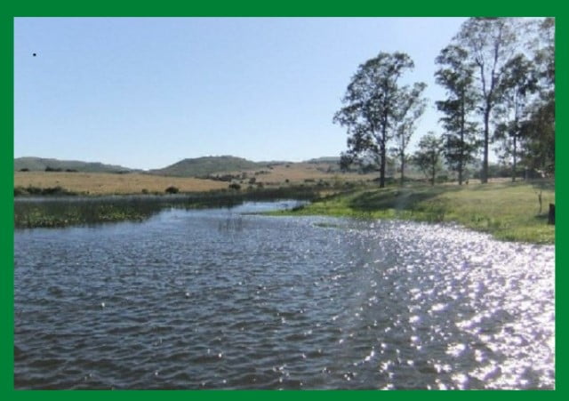 Camping Aguas Blancas. Acampar en Camping Aguas Blancas.