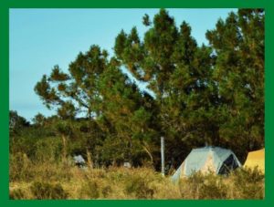 Camping en La Paz. Acampar en Darío Salomón CNC.