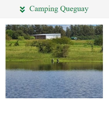 Camping en Paysandú. Acampar en Queguay.