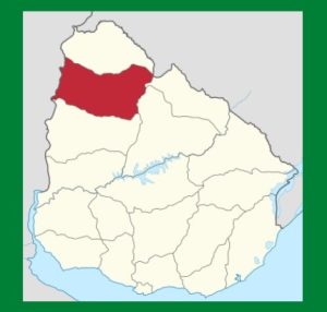 Campings cerca de la costa uruguaya. Todos los lugares para acampar en la playa o con playa en Salto.