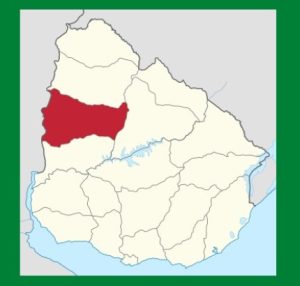 Todos los Camping, lugares para acampar y campamentos en Paysandú, Uruguay.