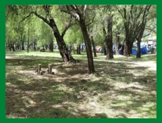 Camping El Sauzal. Acampar en Camping Municipal El Sauzal.