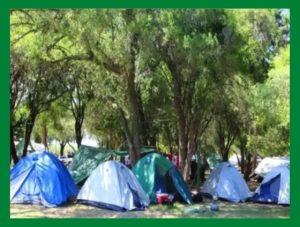 Camping Municipales en Uruguay. Acampar en Camping Municipal Las Cañas en Río Negro.