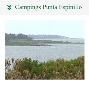 Camping en Montevideo. Acampar en Punta Espinillo Campings y Cabañas.