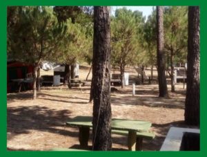 Camping que admiten perros y aceptan otras mascotas en Soriano. Acampar en Camping Municipal Dolores.