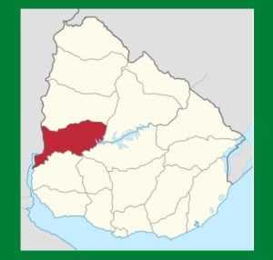 Todos los camping , campamentos y lugares para acampar de Río Negro, Uruguay.