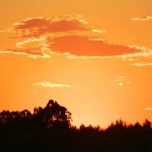 La Laguna de los Cuervos en Minas