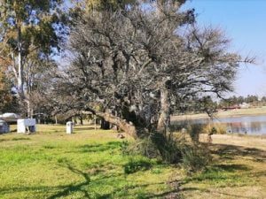 Alojamiento en Lago Andresito